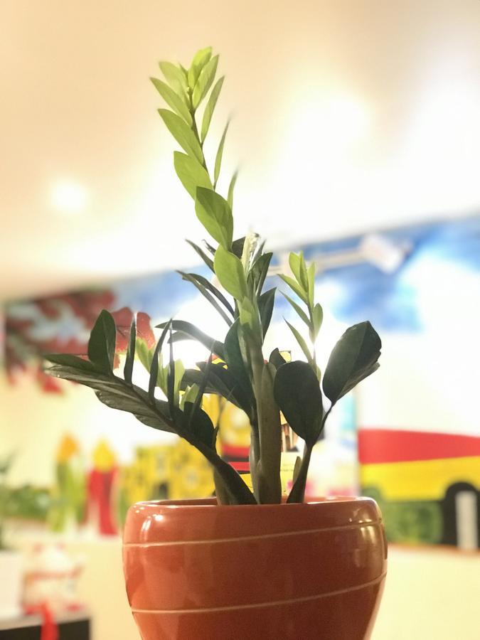 The Lily Hostel & Coffee ホーチミン市 エクステリア 写真